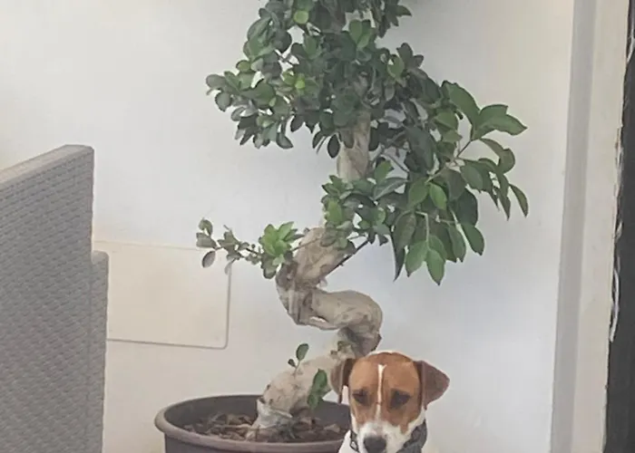 Frühstückspension Locazione Turistica Il Tucano