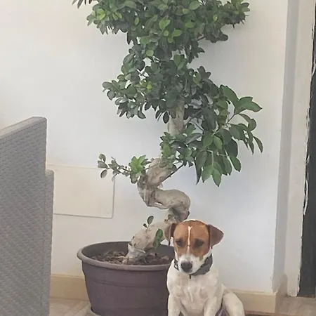 Couette-café Locazione Turistica Il Tucano